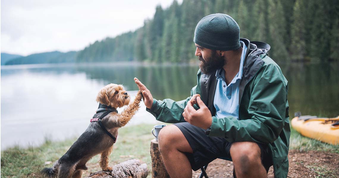 Man som high fivear hund på strand